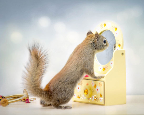 Нэнси Роуз, Nancy Rose,\ белки человеческие дела