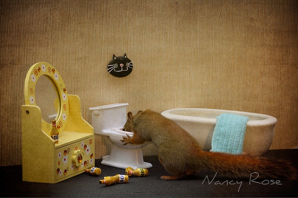 Нэнси Роуз, Nancy Rose,\ белки человеческие дела