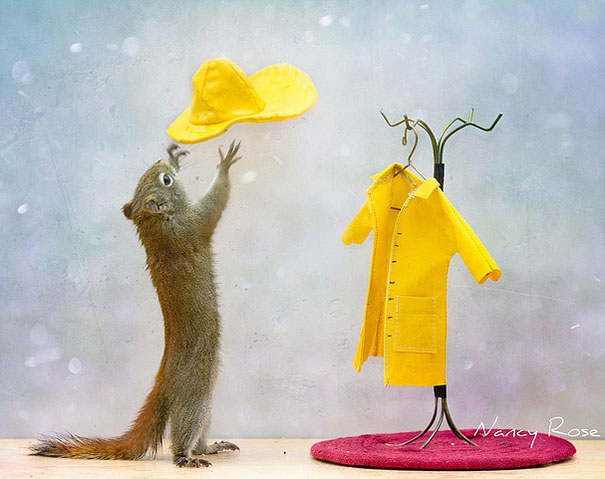 Нэнси Роуз, Nancy Rose,\ белки человеческие дела