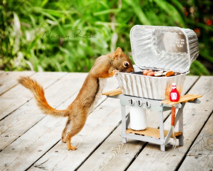 Нэнси Роуз, Nancy Rose,\ белки человеческие дела