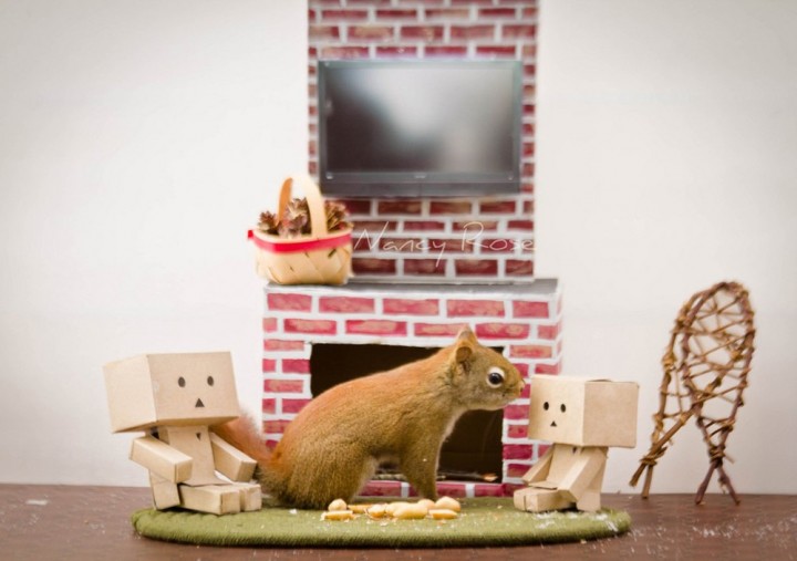 Нэнси Роуз, Nancy Rose,\ белки человеческие дела