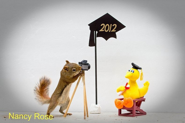 Нэнси Роуз, Nancy Rose,\ белки человеческие дела