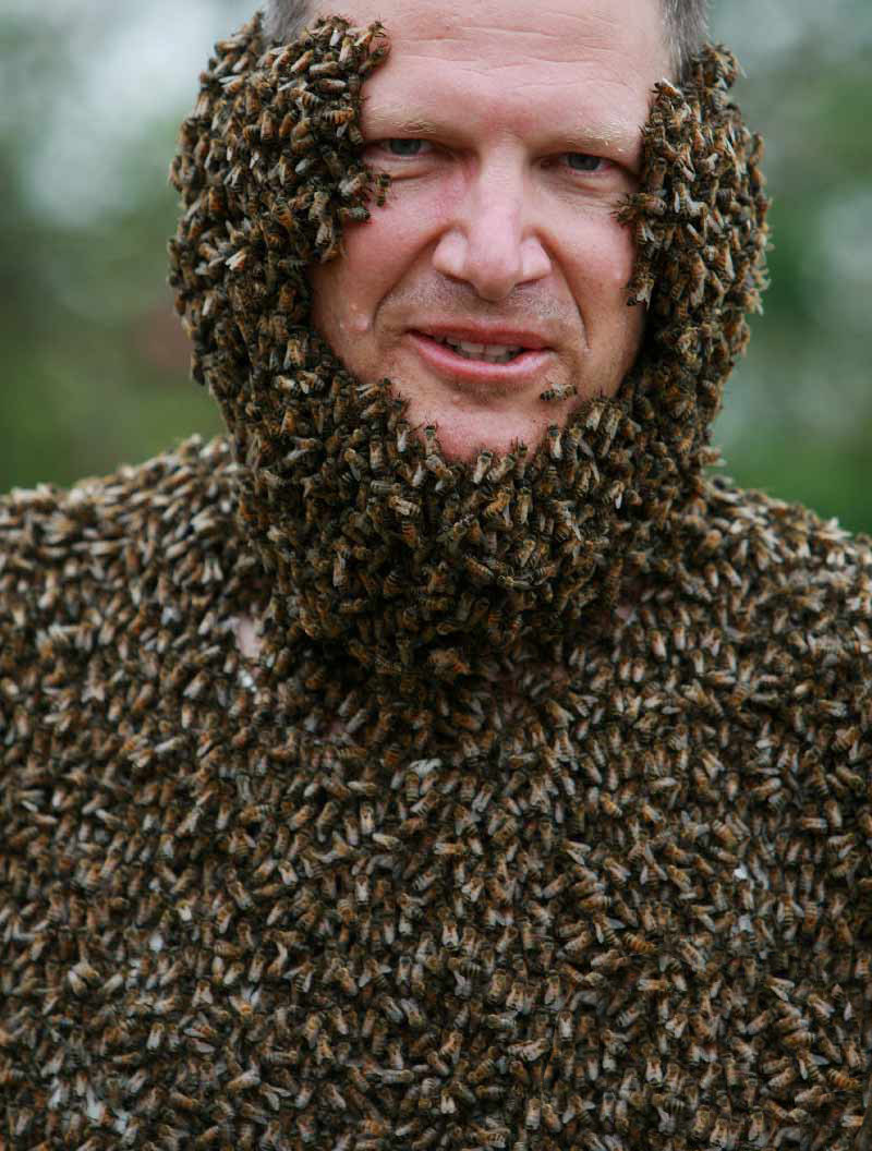 Конкурс на самую большую бороду из пчел Clovermead Bee