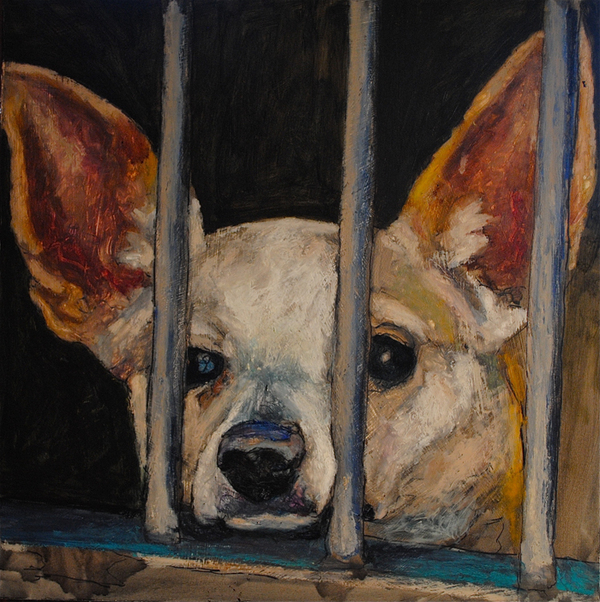 An Act of Dog,mark barone