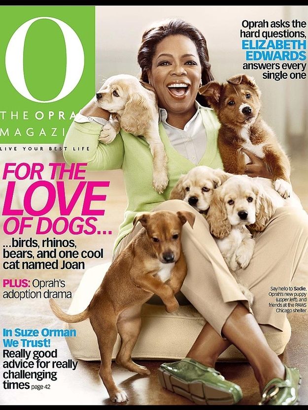 животные,богатые животные 