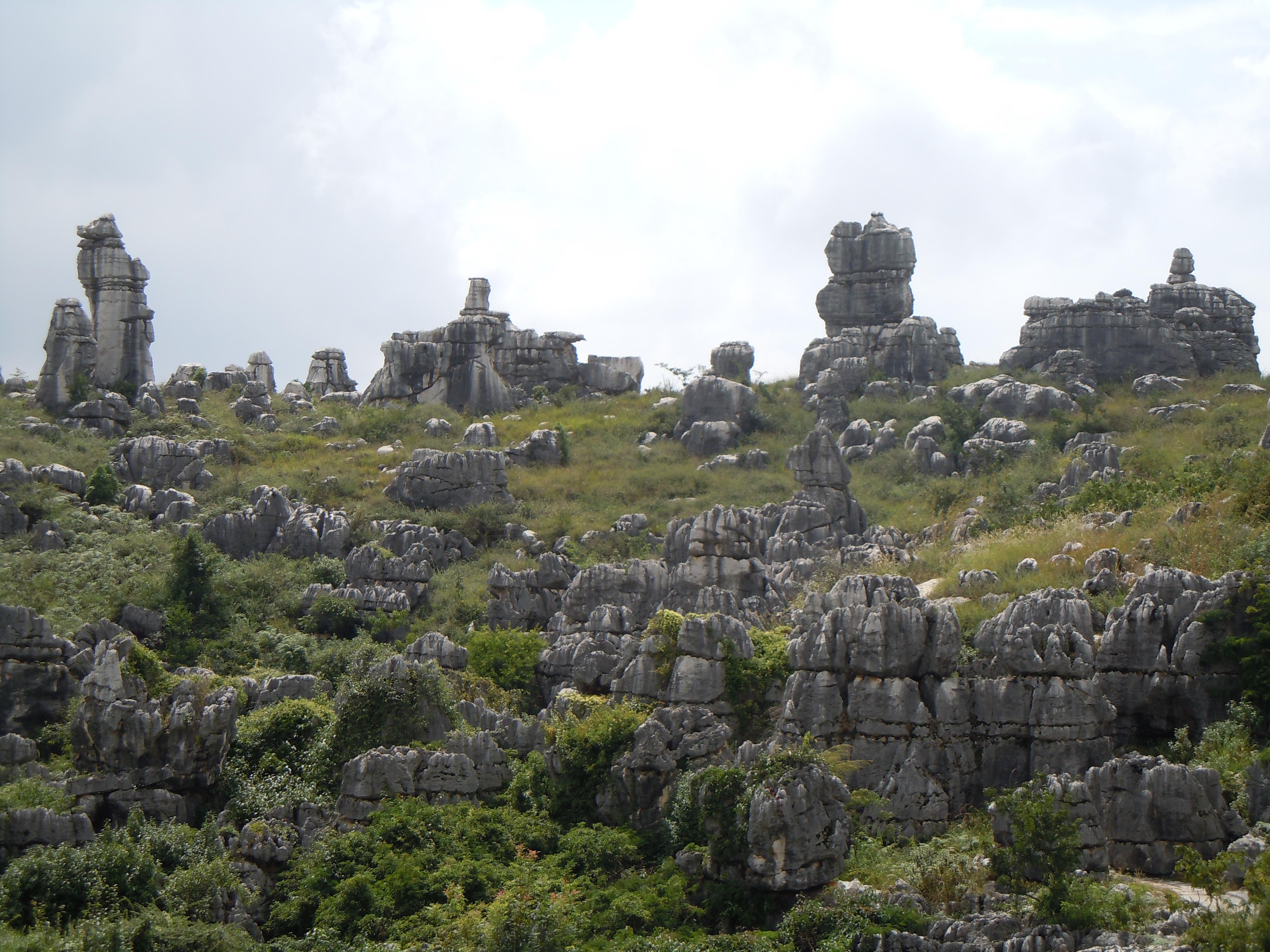 Путешествие, каменный лес, Шилинь