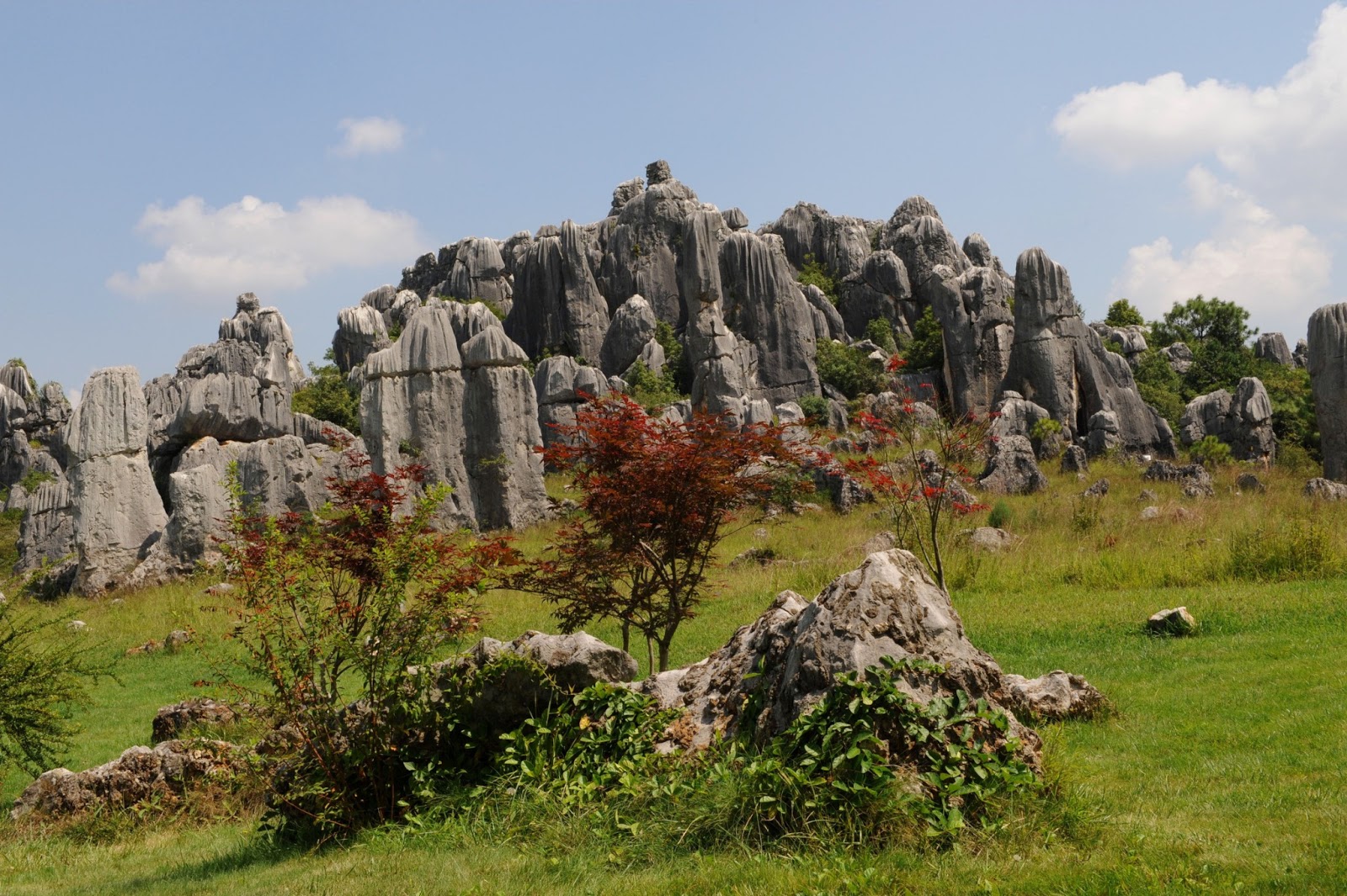 Путешествие, каменный лес, Шилинь