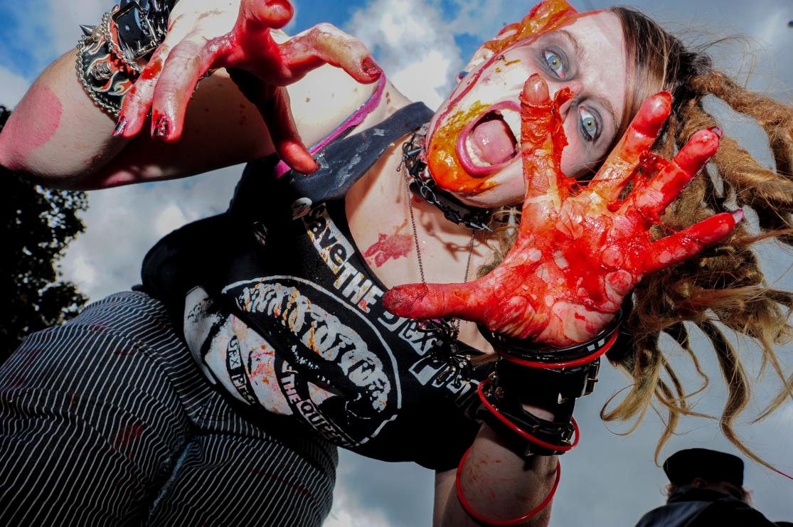 Всемирный, день зомби, 2013