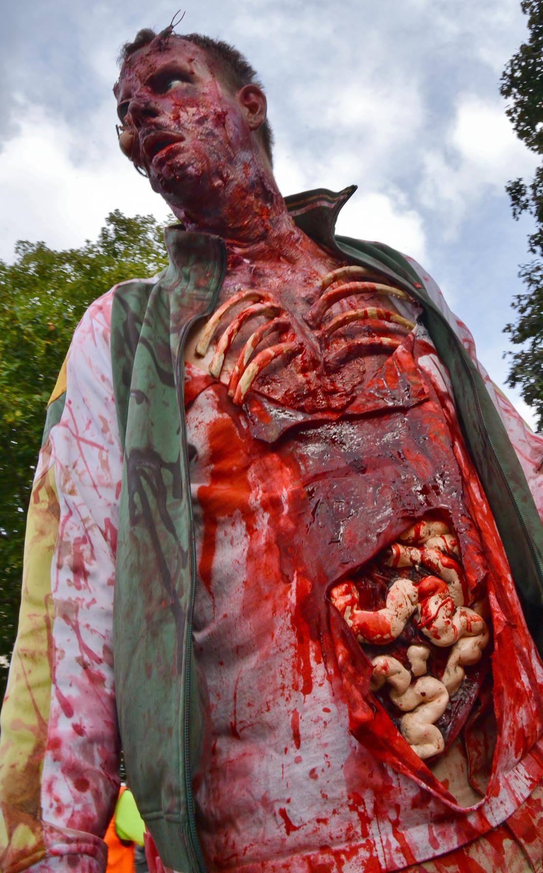 Всемирный, день зомби, 2013