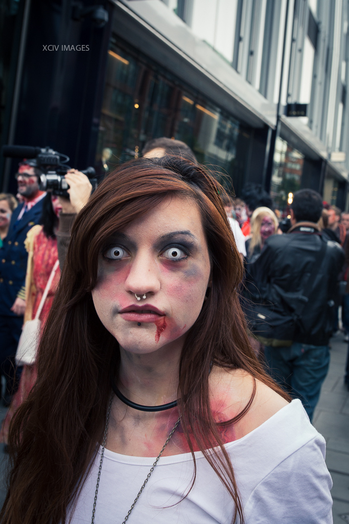 Всемирный, день зомби, 2013