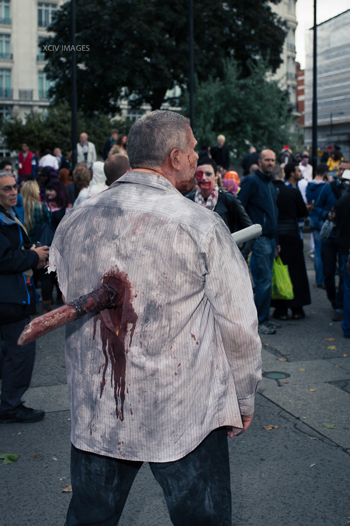 Всемирный, день зомби, 2013