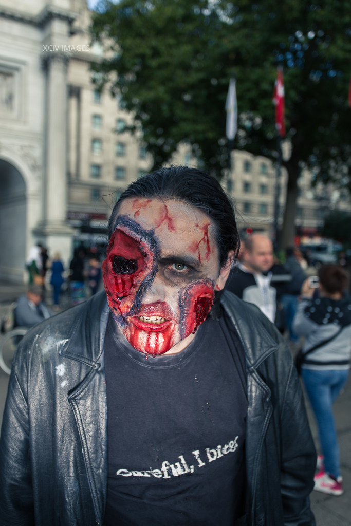 Всемирный, день зомби, 2013