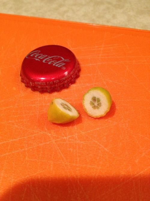 Мини, микро, рекордно, маленький, лимон, выращеный в неблагоприятных, условиях