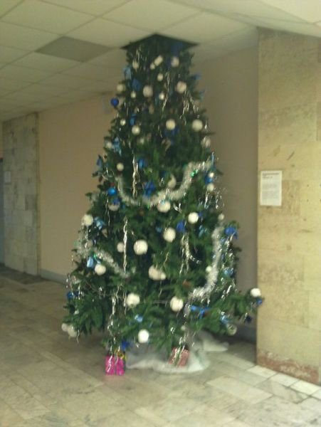 новый год, праздник, смешное,россия