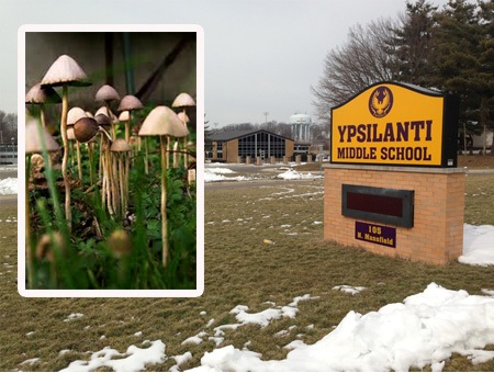 самые, странные, истории, связанных,  мужскими, половыми органами, пенисами, членами