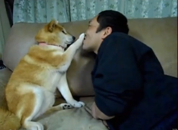 После выпускного, поиск работы, животные, фото, анимация