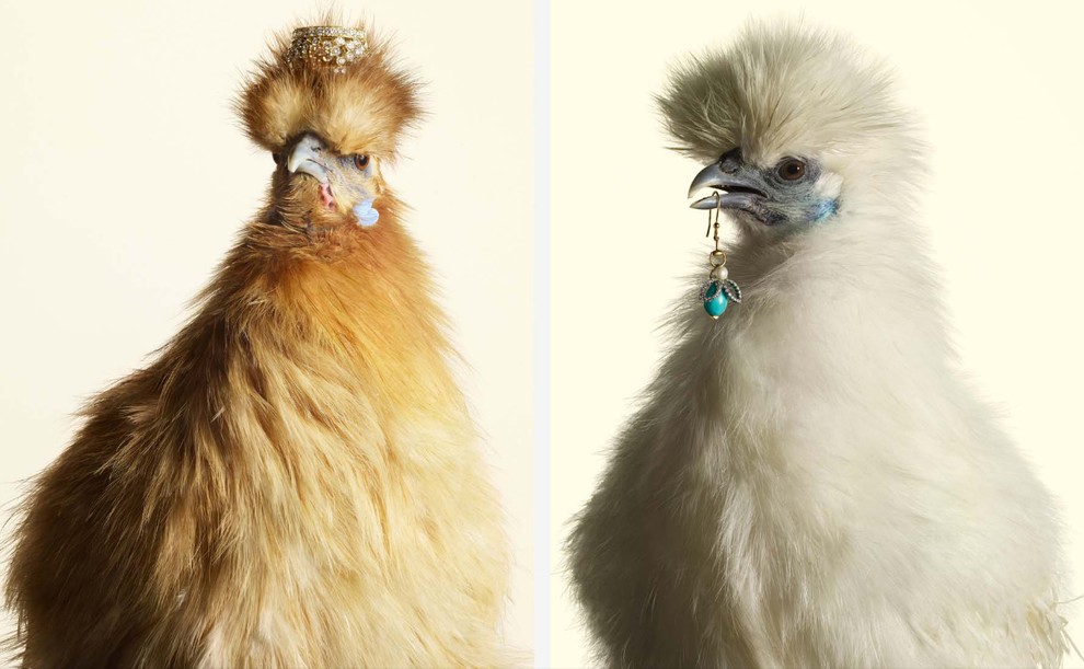 Нестандартные рекламные снимки от Питера Липпмана Питер Липпман, Peter Lippmann, Кристиан Лубутен, Сhristian Louboutin, обувь туфли, реклама