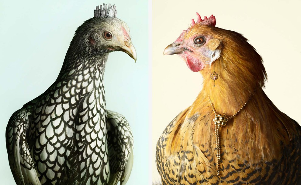 Нестандартные рекламные снимки от Питера Липпмана Питер Липпман, Peter Lippmann, Кристиан Лубутен, Сhristian Louboutin, обувь туфли, реклама