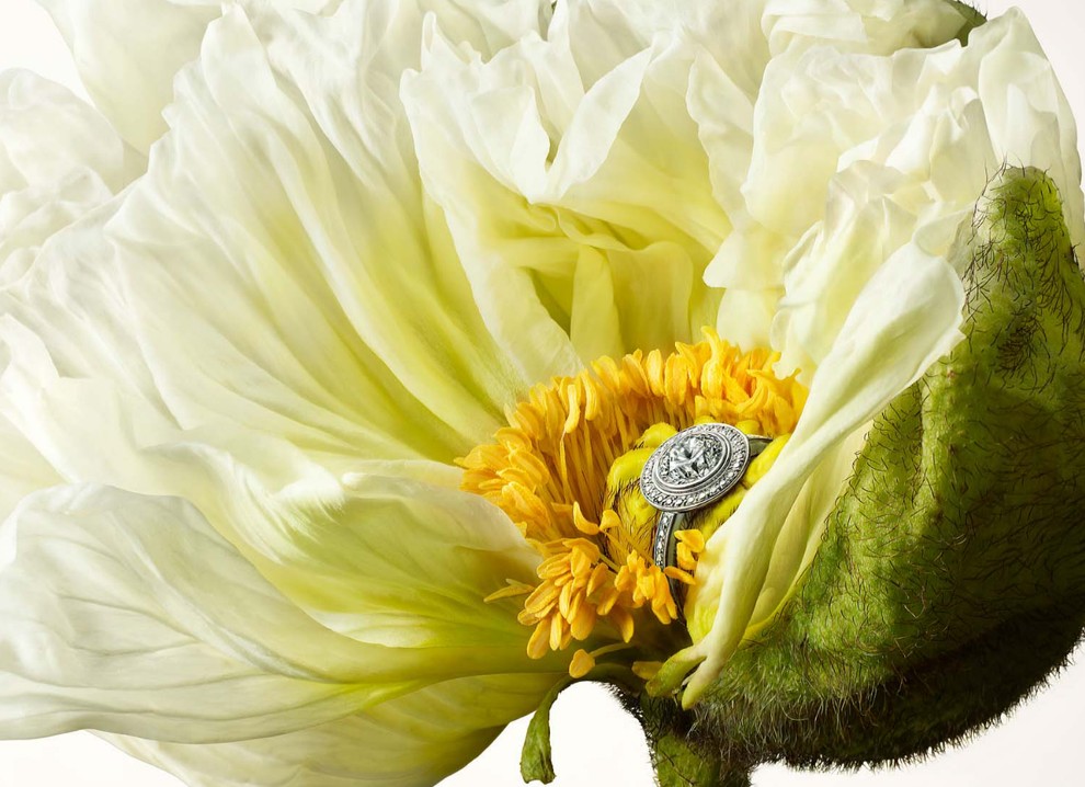 Нестандартные рекламные снимки от Питера Липпмана Питер Липпман, Peter Lippmann, Кристиан Лубутен, Сhristian Louboutin, обувь туфли, реклама