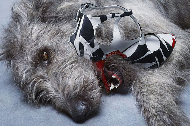 Нестандартные рекламные снимки от Питера Липпмана Питер Липпман, Peter Lippmann, Кристиан Лубутен, Сhristian Louboutin, обувь туфли, реклама