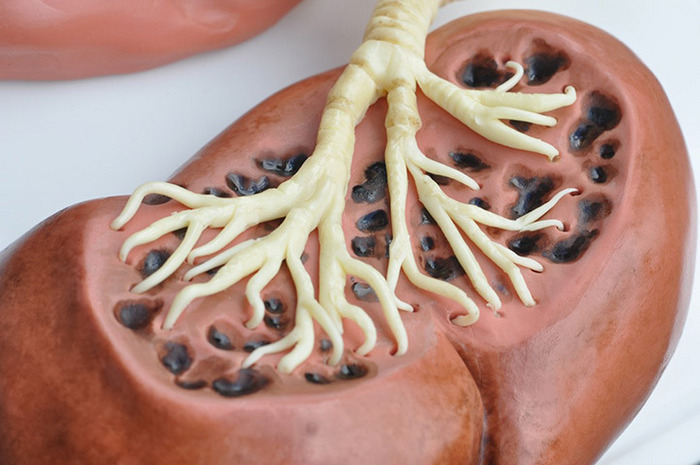 Пугающие десерты, напрочь отбивающие аппетит Miss Cakehead, пугающие десерты, жуткие торты, кексы