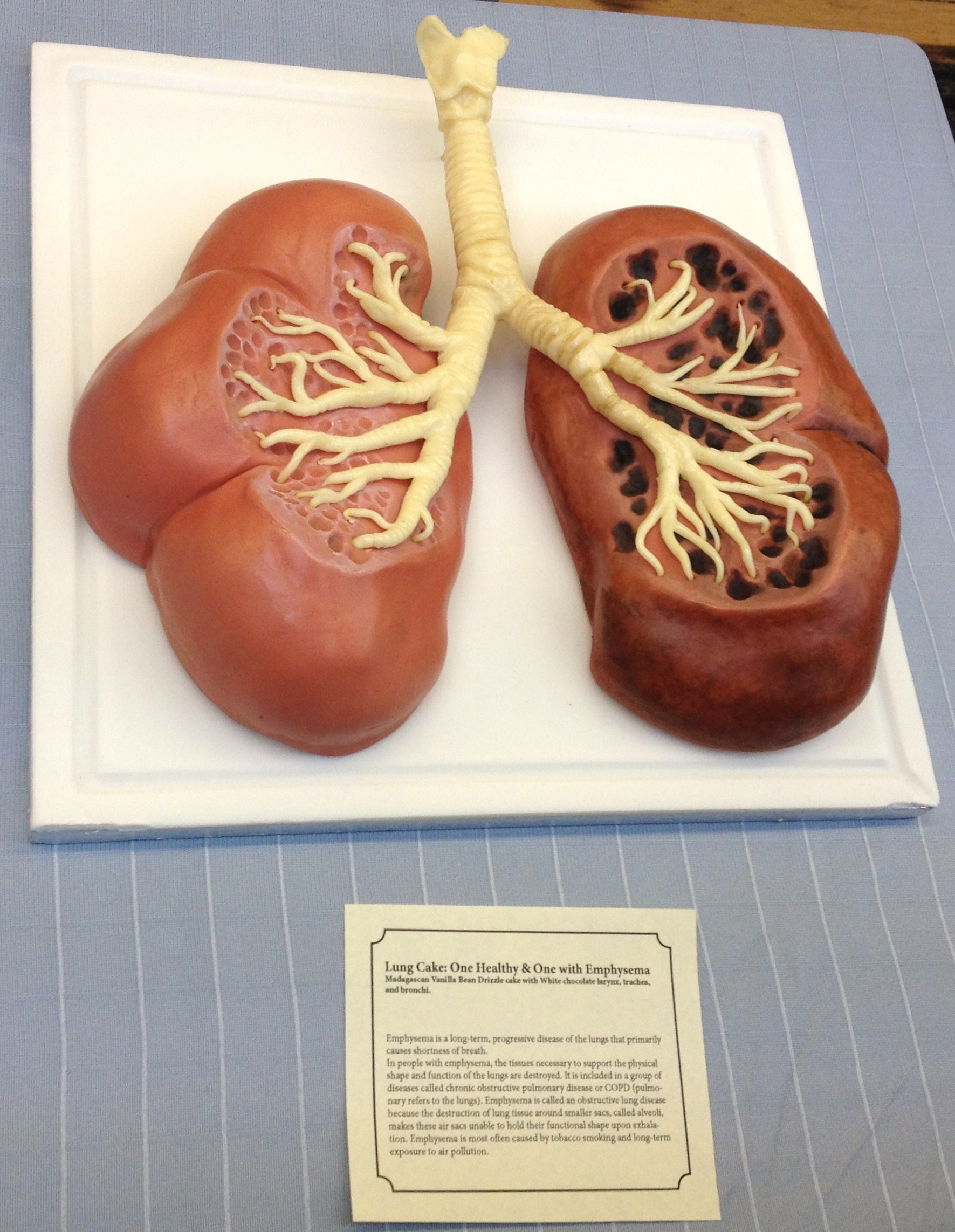 Пугающие десерты, напрочь отбивающие аппетит Miss Cakehead, пугающие десерты, жуткие торты, кексы