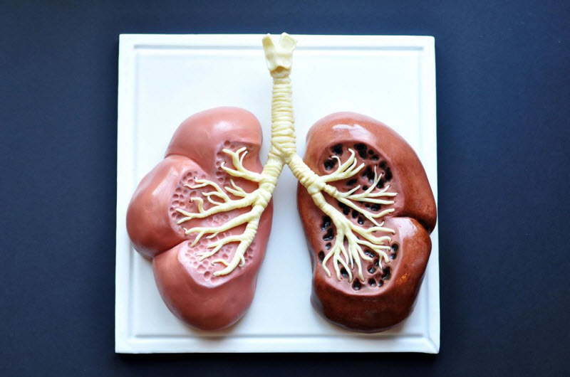 Пугающие десерты, напрочь отбивающие аппетит Miss Cakehead, пугающие десерты, жуткие торты, кексы