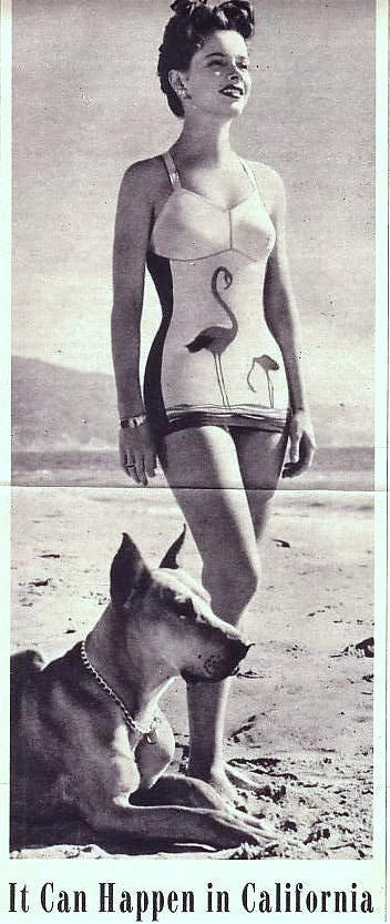История ,купальники, 20 века, купальники, в СССР , появление бикини