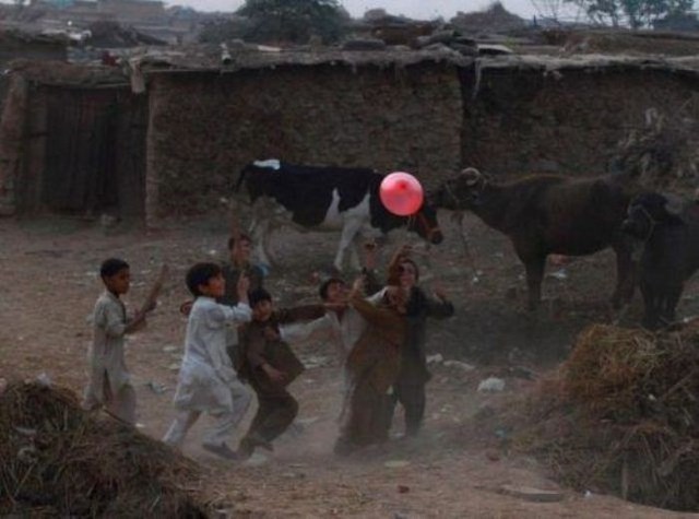 трогательные фото, волнующие снимки, эмоциональные фотографии