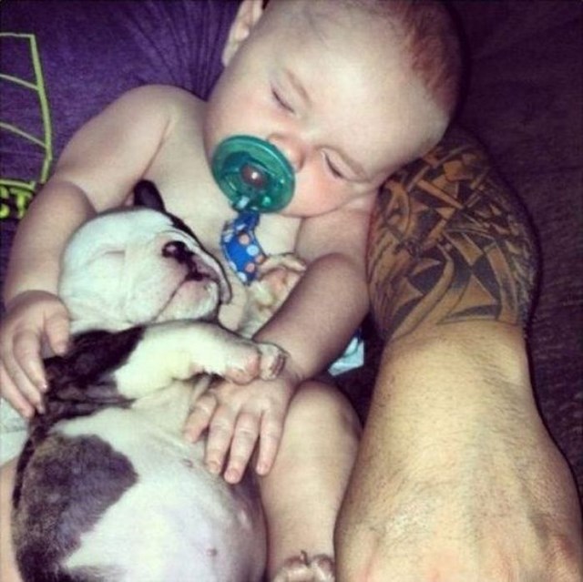 трогательные фото, волнующие снимки, эмоциональные фотографии