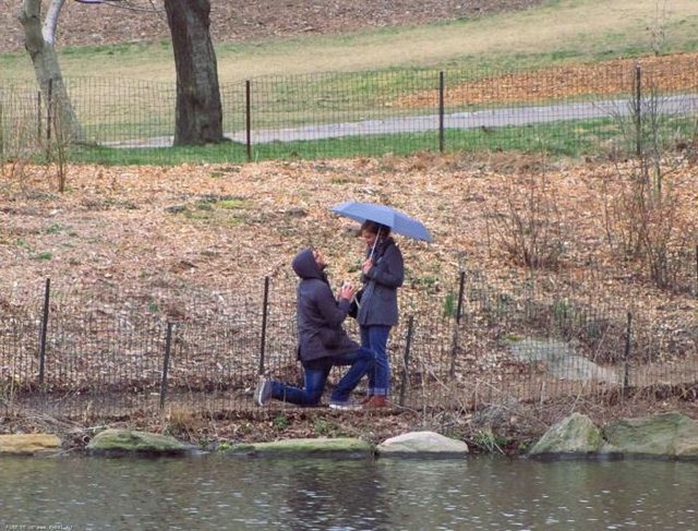 трогательные фото, волнующие снимки, эмоциональные фотографии