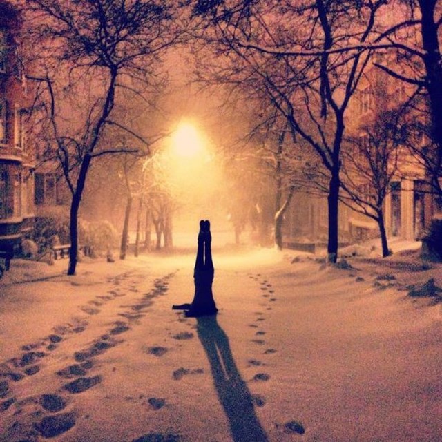 трогательные фото, волнующие снимки, эмоциональные фотографии