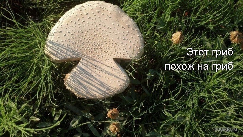 удивительные совпадения, случайность