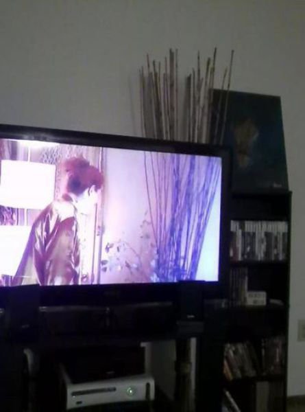 удивительные совпадения, случайность