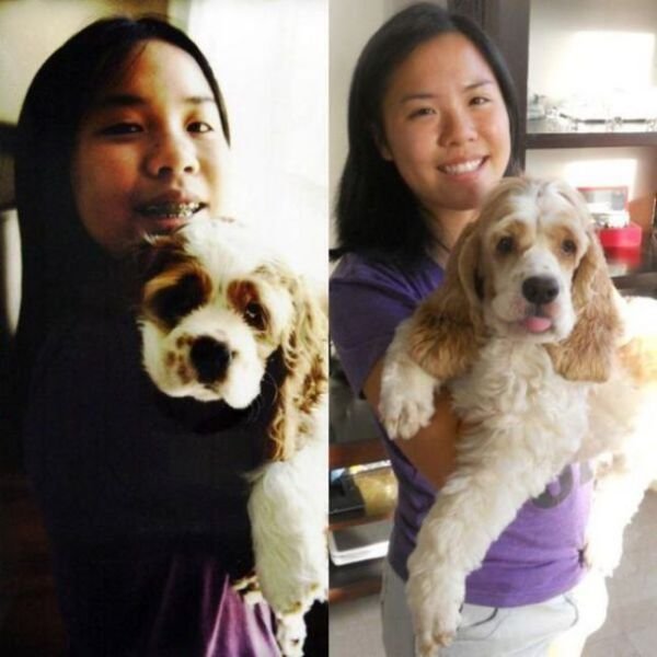  тогда и сейчас,животные,домашние питомцы