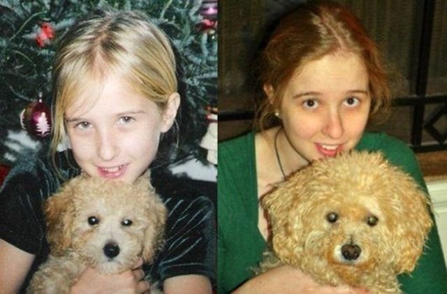  тогда и сейчас,животные,домашние питомцы