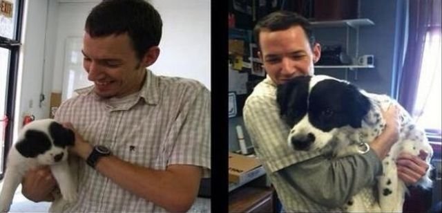  тогда и сейчас,животные,домашние питомцы