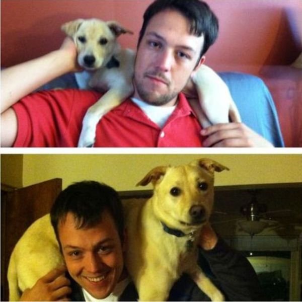  тогда и сейчас,животные,домашние питомцы