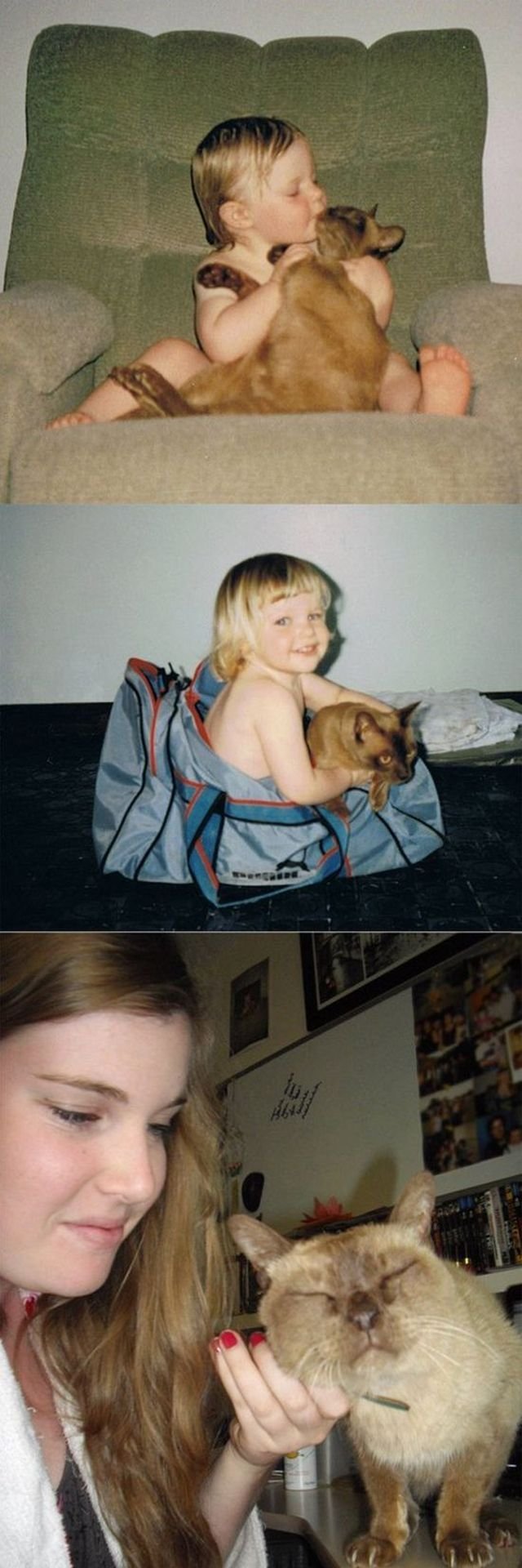  тогда и сейчас,животные,домашние питомцы