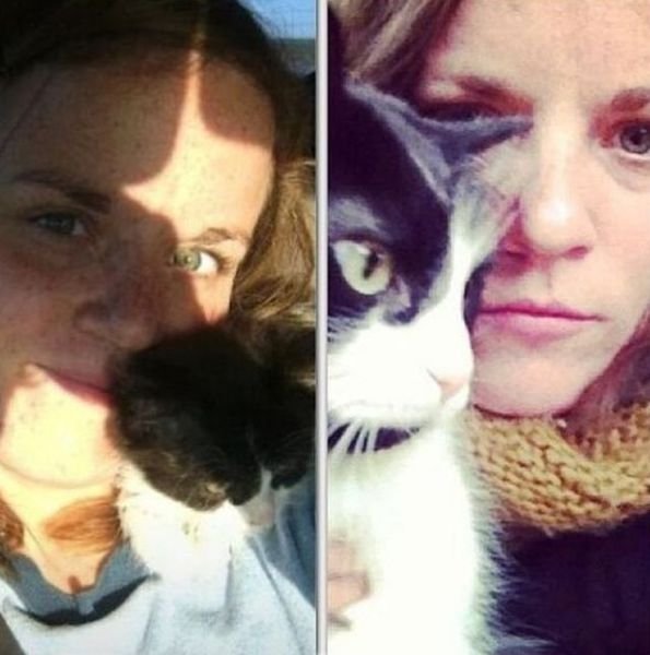  тогда и сейчас,животные,домашние питомцы