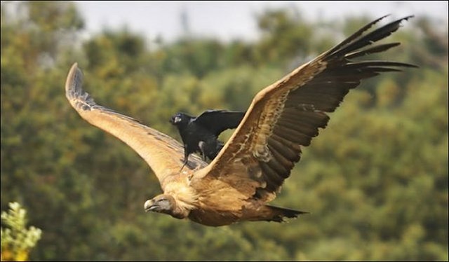 Люди порабощённые ленью II Ленивые люди, люди порабощённые ленью