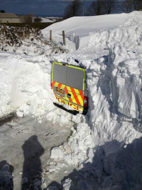 Веселые, моменты, смешное, ситуации, истории, из жизни, полицейских
