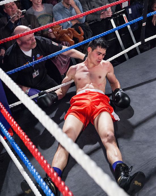 Шахбокс, шахматы и бокс