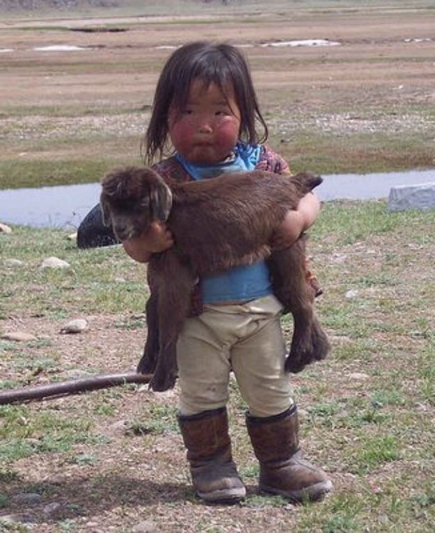 Милые малыши, пухлые щеки, фото