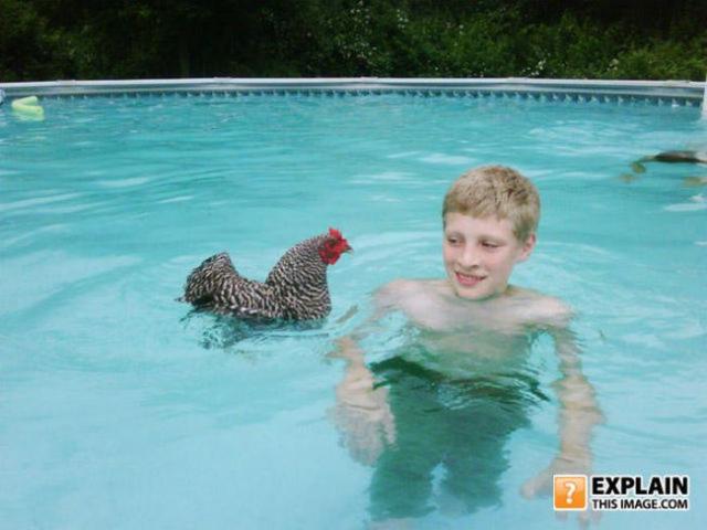 бессмысленные фото, человеческая глупость, не поддающиеся объяснению 