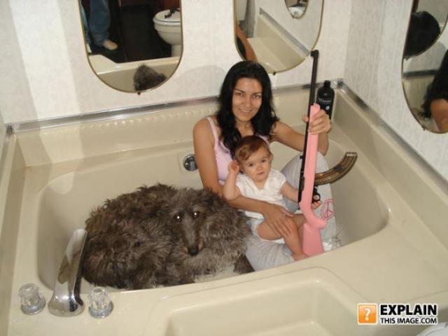 бессмысленные фото, человеческая глупость, не поддающиеся объяснению 