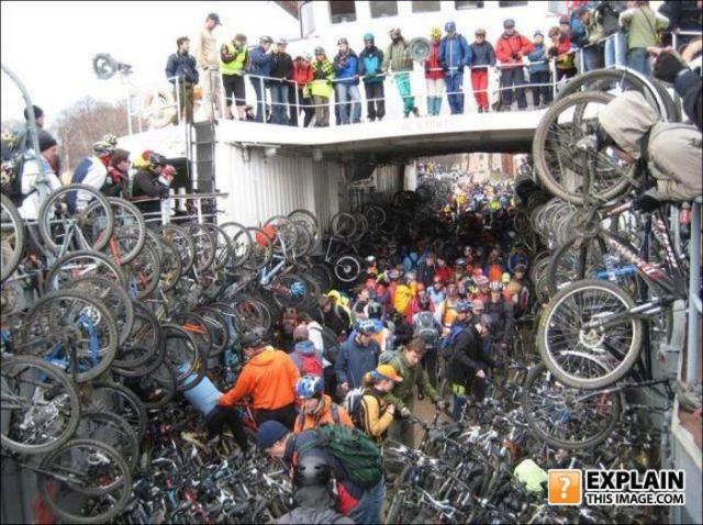 бессмысленные фото, человеческая глупость, не поддающиеся объяснению 