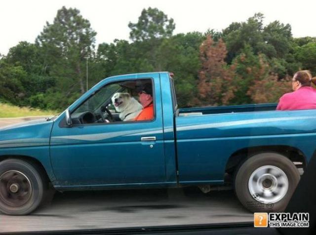 бессмысленные фото, человеческая глупость, не поддающиеся объяснению 