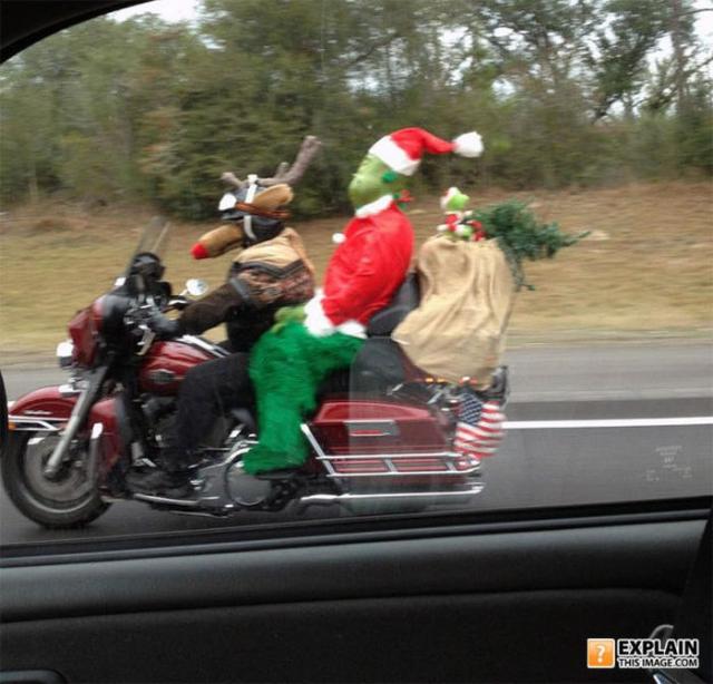 бессмысленные фото, человеческая глупость, не поддающиеся объяснению 