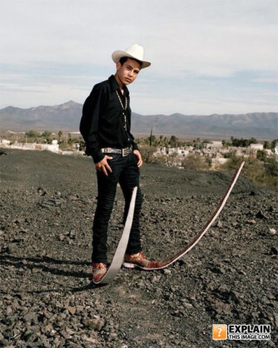 бессмысленные фото, человеческая глупость, не поддающиеся объяснению 